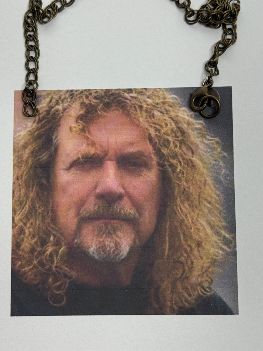 Robert Plant Ornament